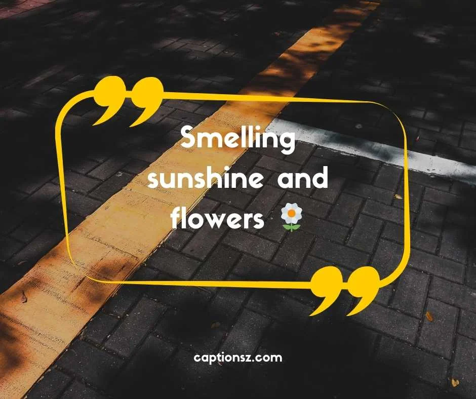 Cute Flower Captions