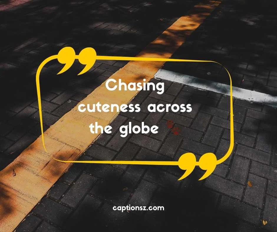 Cute Travel Captions for Instagram