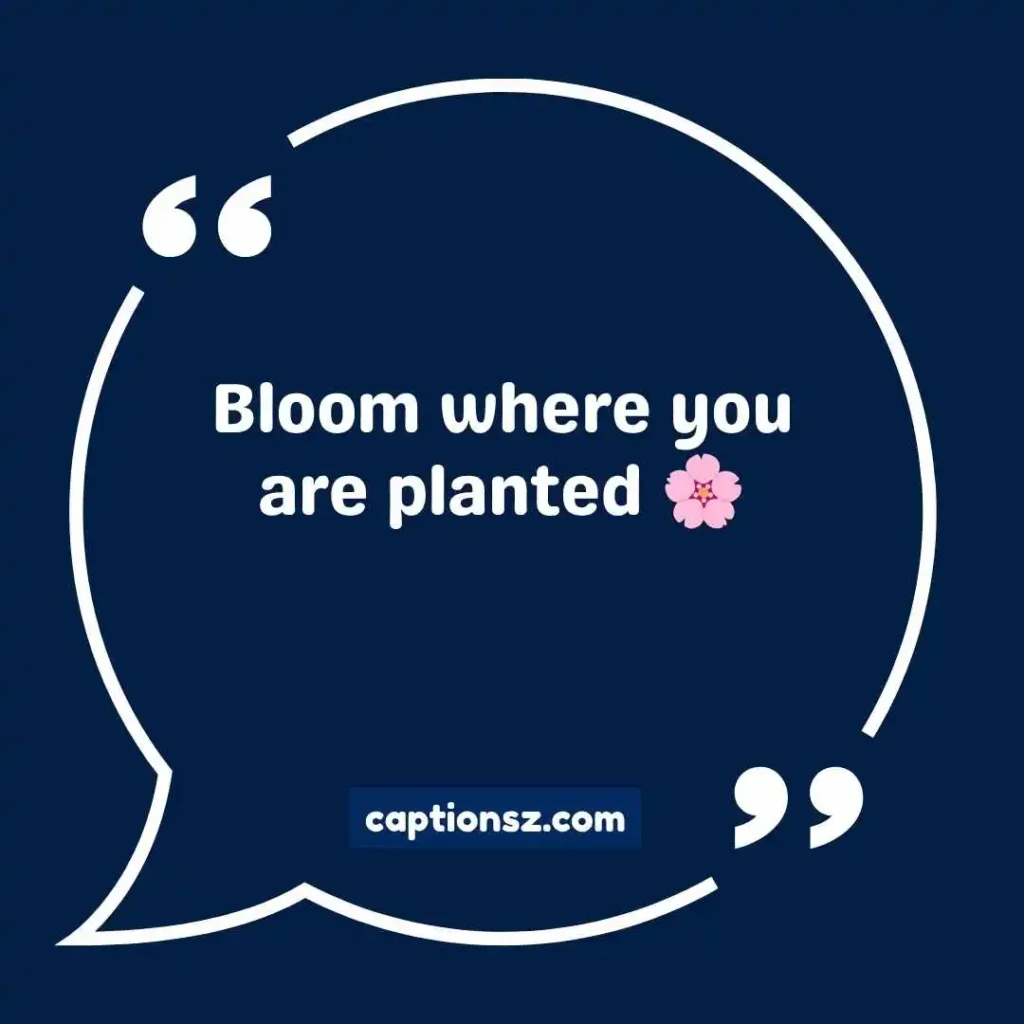 Short Flower Captions for Instagram for Girl