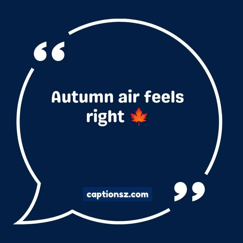 Simple Fall Instagram Captions