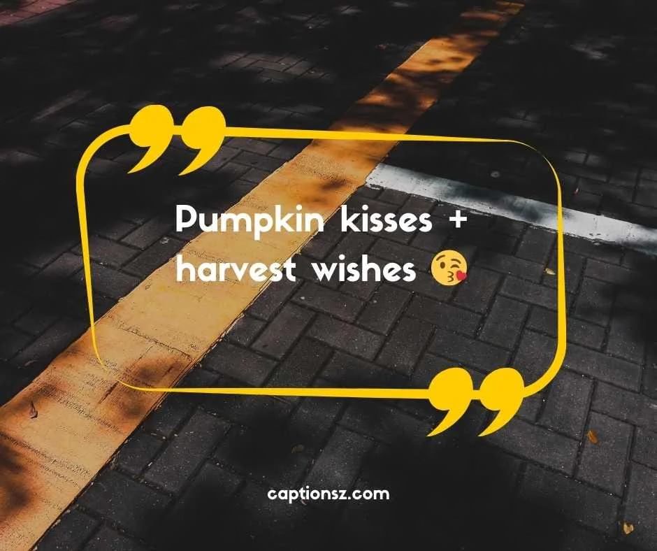 Cute Pumpkin Patch Captions