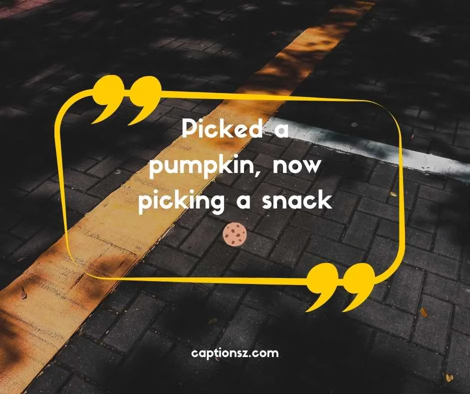 Funny Pumpkin Patch Captions