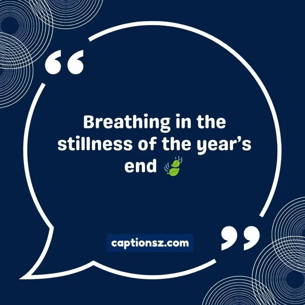 Aesthetic end of the year captions