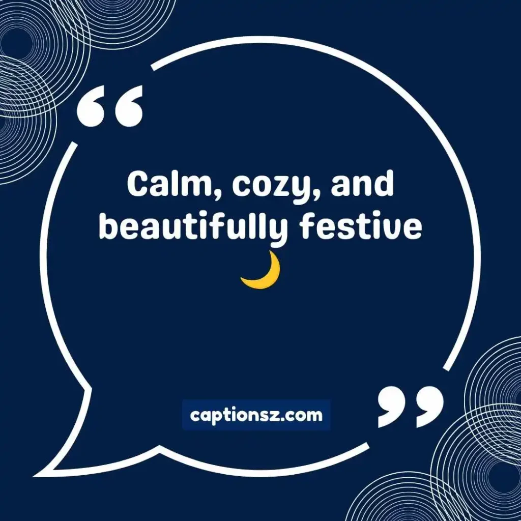 Aesthetic Holiday Captions