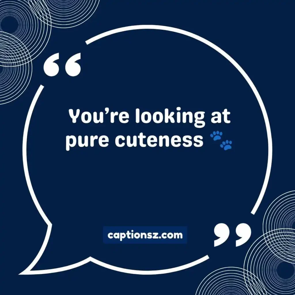 Cute CapCut Auto Captions