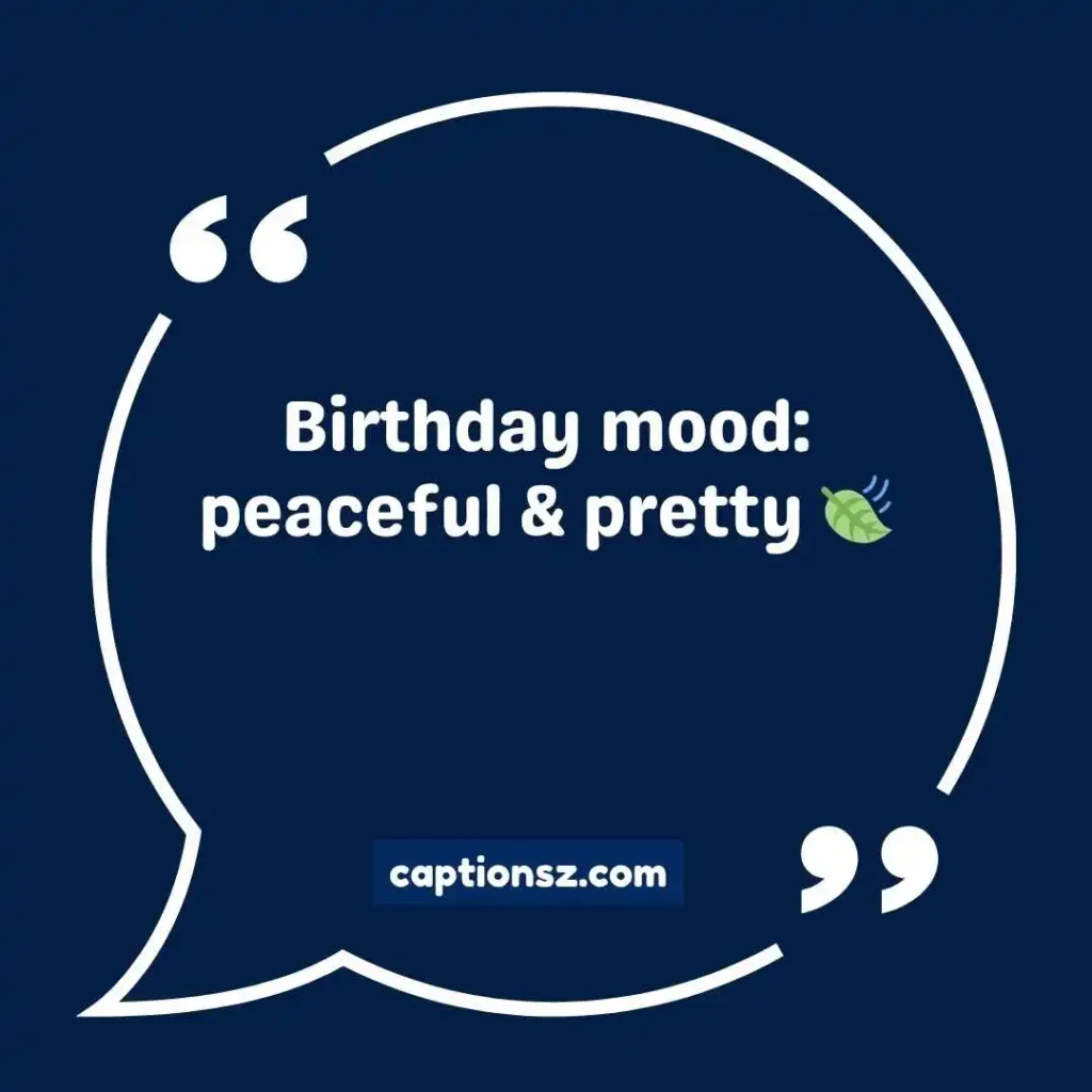 Minimal & Aesthetic Birthday Captions