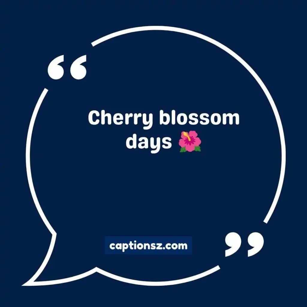 Short Japan Captions for Instagram