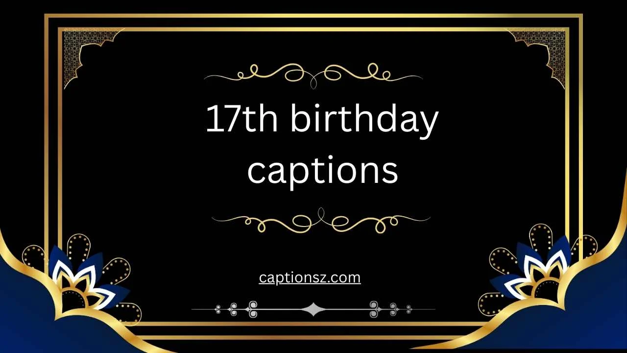 17th birthday captions
