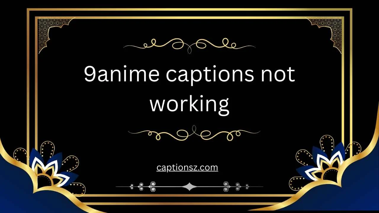 9anime captions not working